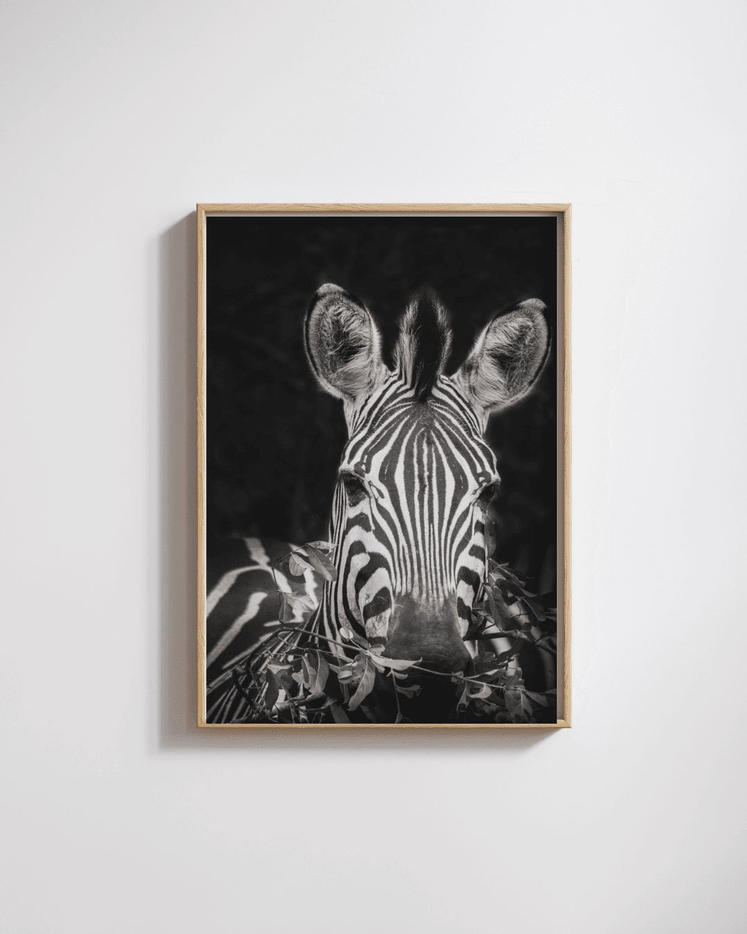 Encre et lumière